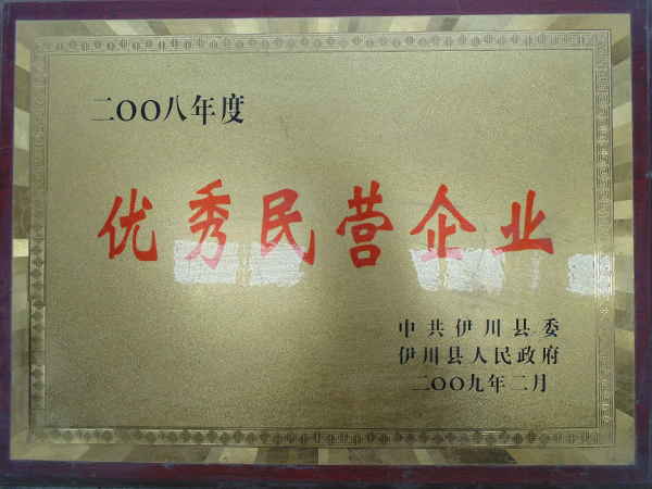 2008年度***民營企業(yè)